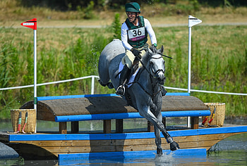 Austin O’Connor, Eventing HD wallpaper