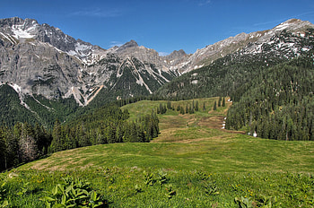 Landscape, Nature, Trees, Grass, Mountains, Hills HD wallpaper