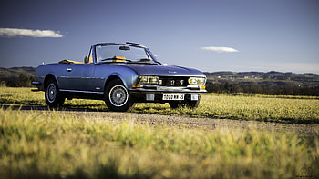 Cars, Field, Cabriolet, V6, Peugeot 504 HD wallpaper