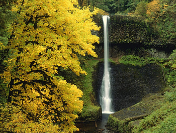 waterfall in autumn in the forest, autumn, waterfall, forest HD wallpaper