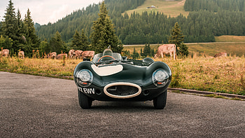 1956 Jaguar D-Type, Inline 6, Open Top, car HD wallpaper