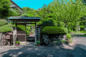 A tranquil garden entrance with lush greenery and traditional design features. HD wallpaper