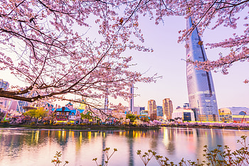 Seoul South Korea, Korea, Seoul, city, South HD wallpaper