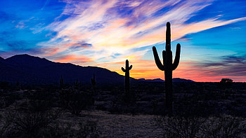 Nature, Cactuses, Sunset, Clouds, Desert HD wallpaper