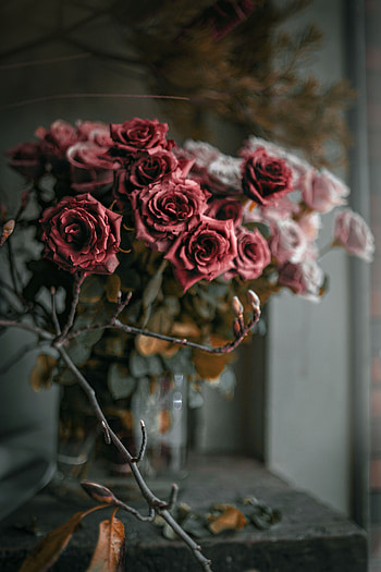 Flowers, Roses, Pink, Bouquet HD phone wallpaper