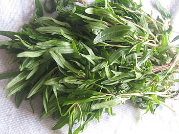 Using garden produce, Winter savory recipes, Savory dishes HD wallpaper