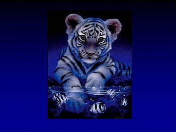 Tiger cub, fish, water, art HD wallpaper