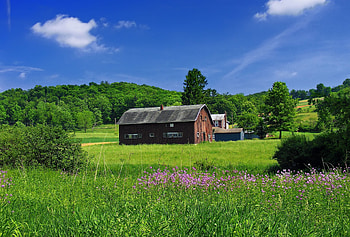 Pennsylvania , State pride, Showcasing beauty, backgrounds HD wallpaper