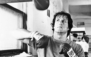 Rocky s HD wallpaper