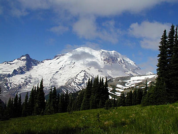 Snow Top Mountain, trees, sky, snow, mountain HD wallpaper