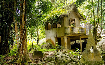 Floral House, Yamashita, weeds, architecture, house, landscape, grass, ground, rock, daylight, day, leaves, trees, nature, sky, forest HD wallpaper