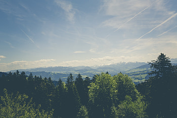 Nature, Trees, Mountains, Vertex, Tops HD wallpaper