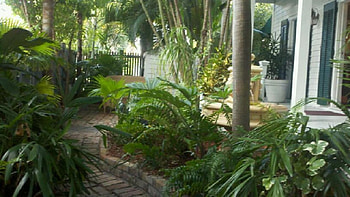 Key West FL, other, key west, flowers, ferns HD wallpaper
