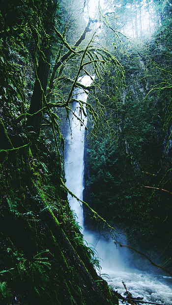 Waterfall oasis, tranquility, Rainforest dreams, Captivating beauty HD phone wallpaper