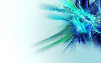 light flowers blue turquoise white background HD wallpaper