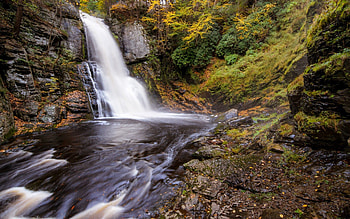 Nature, Water, Rivers, Trees, Grass, Waterfall HD wallpaper