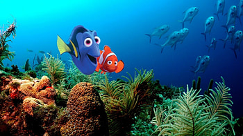 Finding Nemo, , Gamepressure HD wallpaper