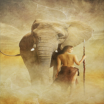 wild, friend, strength, beauty HD wallpaper