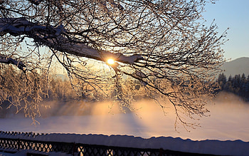 Landscape, Winter, Trees, Sun HD wallpaper