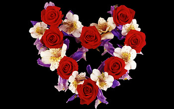 Heart of Roses, beautiful, digital, abstract, art HD wallpaper