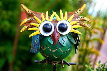 Colorful Owl, Turquoise, Eyes, Colors, Owl HD wallpaper