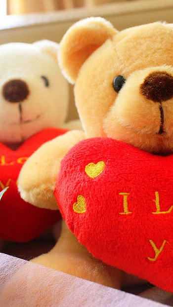 Teddy Bear, i love you HD phone wallpaper