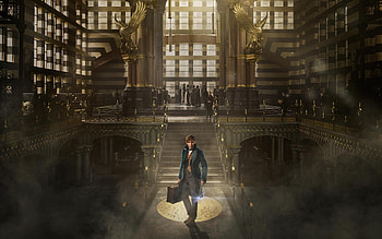 Harry Potter, Fantastic Beasts, Ministry Of Magic, Movie, Fantastic Beasts And Where To Find Them, Eddie Redmayne, Newt Scamander HD wallpaper