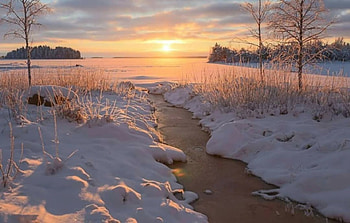 winter scene, winter, , nature, scene HD wallpaper