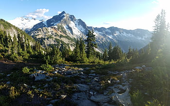 Breathtaking view of snowy mountains and evergreen forest under a clear sky. HD wallpaper