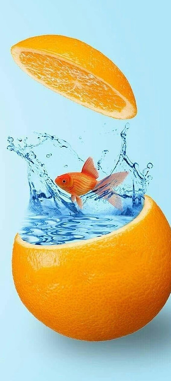 Abstractus, orange, liquid, fish HD phone wallpaper