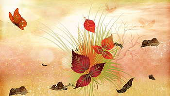Seasons Collide, color, firefox persona, fall, grass, summer, leaves, butterfly, abstract, autumn HD wallpaper