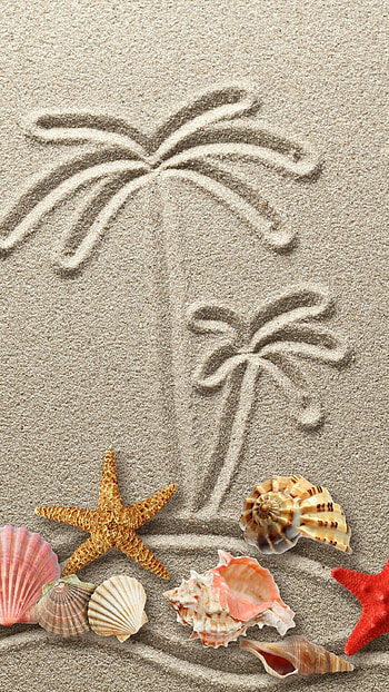 Starfish, Summer vacation, Beach vibes, Artistic HD phone wallpaper