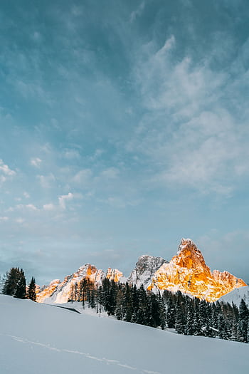 Scenic winter view of snow-capped mountains and pine trees during sunrise. HD phone wallpaper