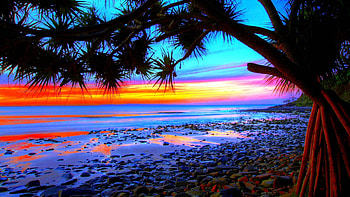 Colorful Tropical Beach, colors, sea, sky, sunset, tree HD wallpaper