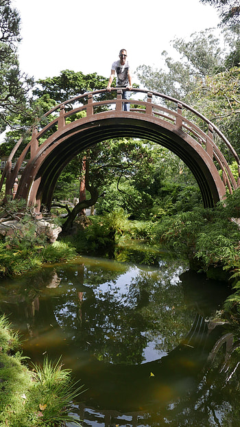 Golden Gate Park, Los barrios mas famosos, San Francisco, Anabel se va HD phone wallpaper