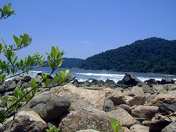 Itaquitanduva Beach, paradise, desert beaches, itaqiuitanduva, nature HD wallpaper