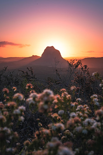 Nature, Flowers, Sunset, Mountains, Rocks, Vertex, Top HD phone wallpaper