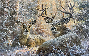 Snowy Seclusion, snow, deer, artwork, winter, painting, trees, forest HD wallpaper