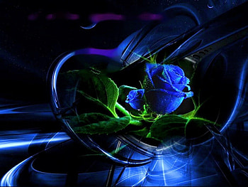 Sapphire love, blue, rose, flower, green, heart HD wallpaper