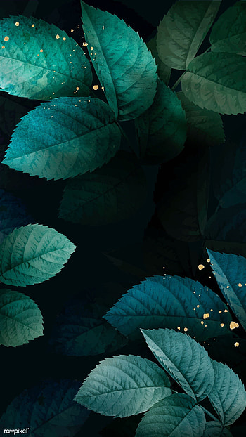 Green foliage pattern mobile , . premium by rawpixe. green, Green leaf background, Dark HD phone wallpaper