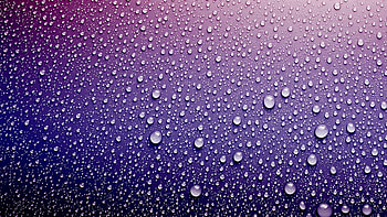 Surface Drops, drops, nature, surface, waterdrops HD wallpaper