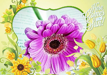 HERE COMES THE SUN, ART, FLOWERS, CREATION, ABSTRACT HD wallpaper