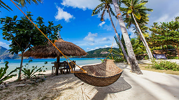 Pin, High-quality gallery HD wallpaper