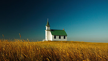 lovely green roofed church in wheat fields, plain, wheat, green, fields, church HD wallpaper