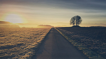 Beautiful Road, road, nature HD wallpaper