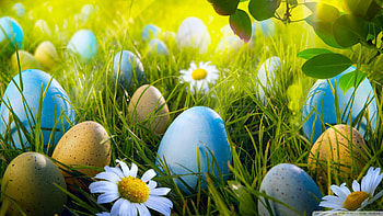 Easter Egg Hunt, Hunt, Egg, Easter HD wallpaper