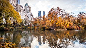 New York, skyscrapers, city, fall, america, park, usa HD wallpaper