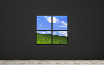 Windows logo, gray background, nature, Windows 11 logo, Windows emblem, Windows HD wallpaper