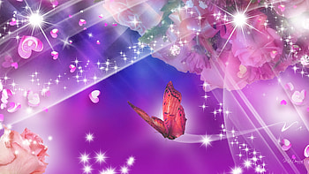 Roses on Bright, roses, stars, sparkles, butterfly, light, bright, hearts, flowers, valentines day HD wallpaper