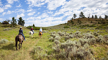 Billings Montana from the saddle, Visit USA Parks HD wallpaper